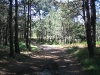 Parque Natural de Carreirón