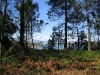 Parque Natural de Carreirón