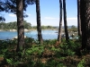 Parque Natural de Carreirón