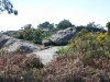 Parque Natural de Carreirón