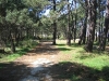 Parque Natural de Carreirón