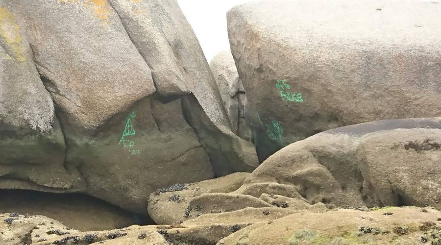 Pintadas en las rocas de Faro de Punta Cabalo - A Illa de Arousa